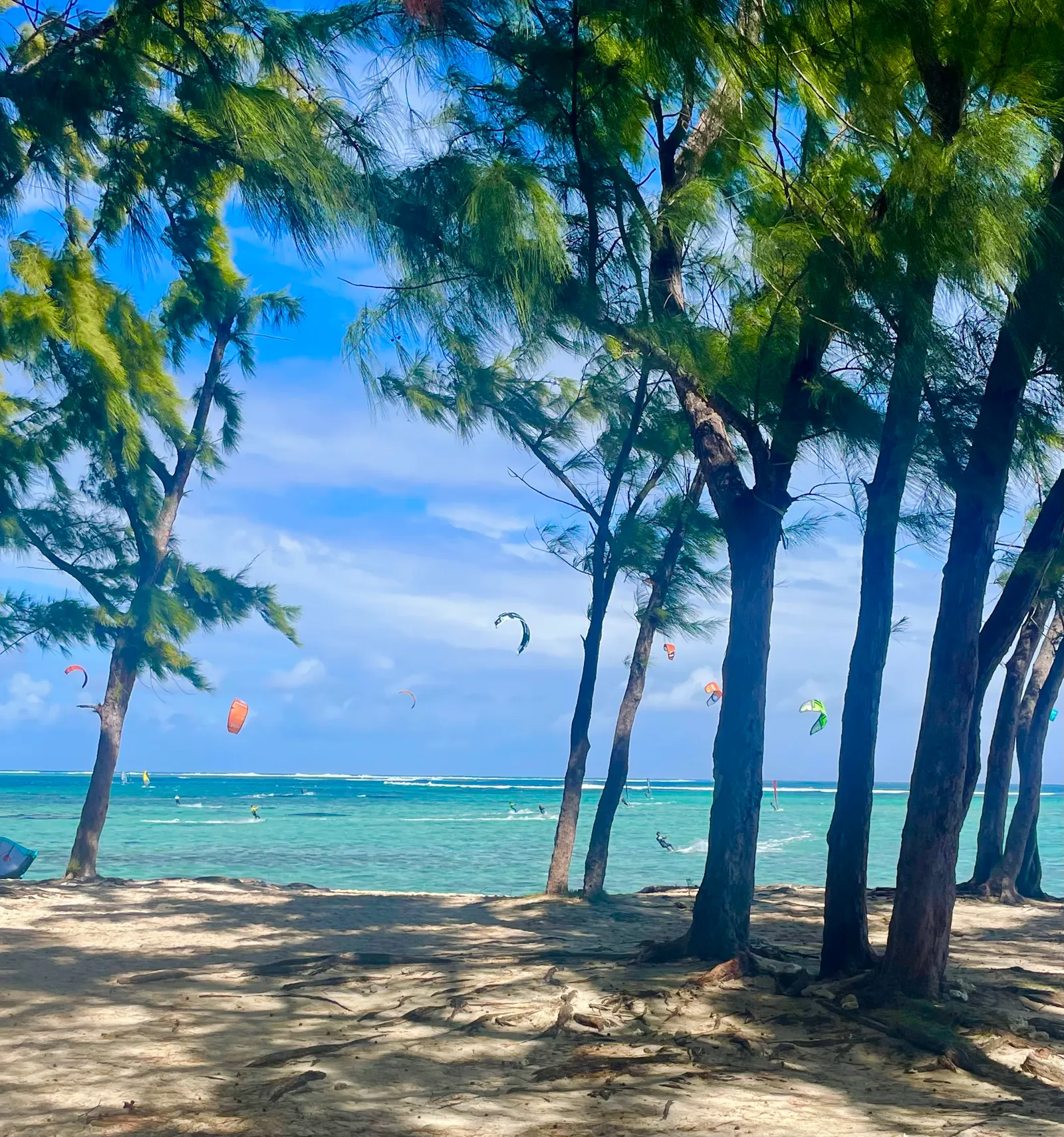 Plage bordée de filaos